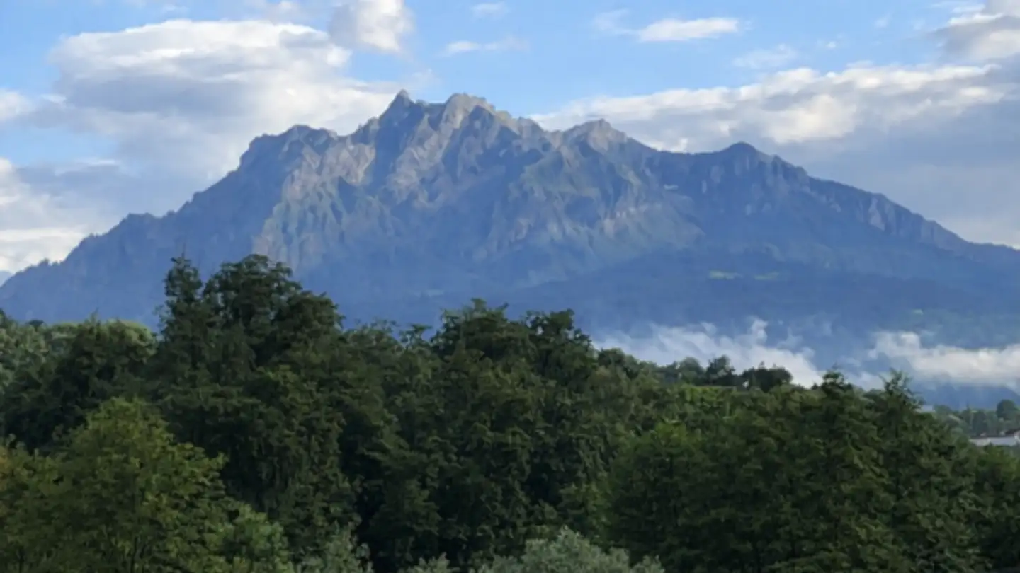 Appartement à vendre - Sonnhaldestrasse 92, 6030 Ebikon