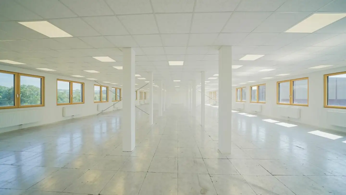 Bureau à louer - Industriestrasse 1, 6203 Sempach Station - Photo 4