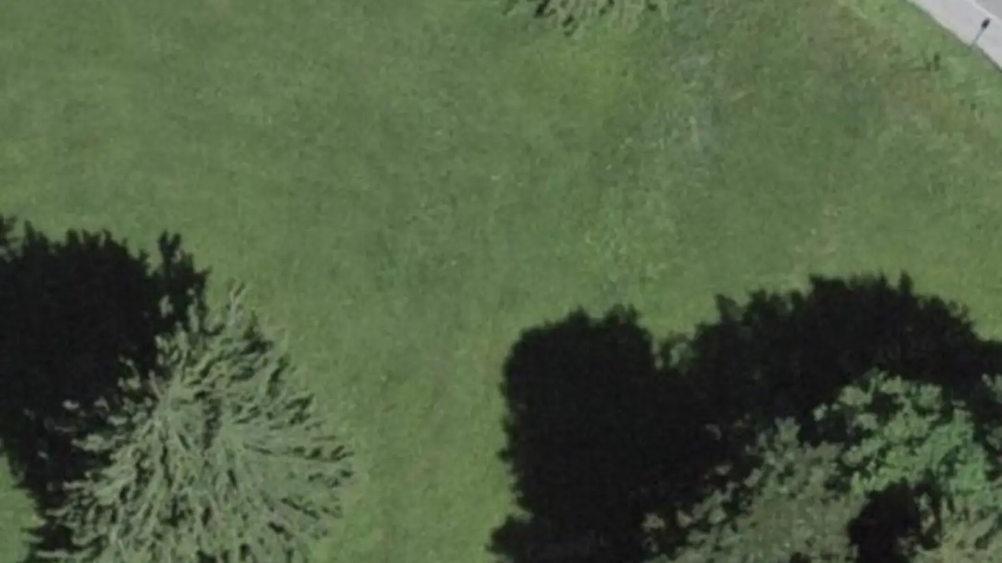 Constructible plot for sale - 1619 Les Paccots