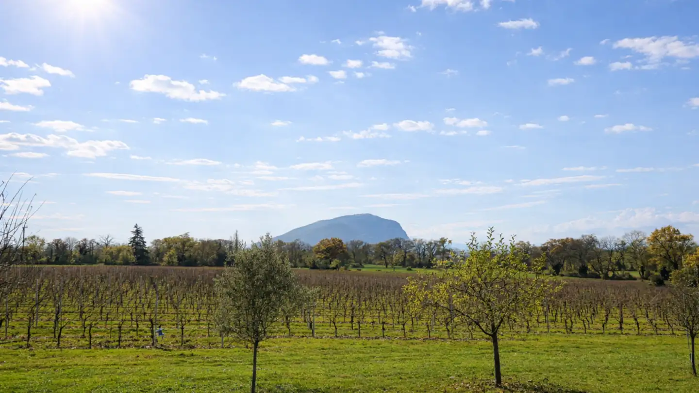 Villa in vendita - 1243 Presinge - Foto 3