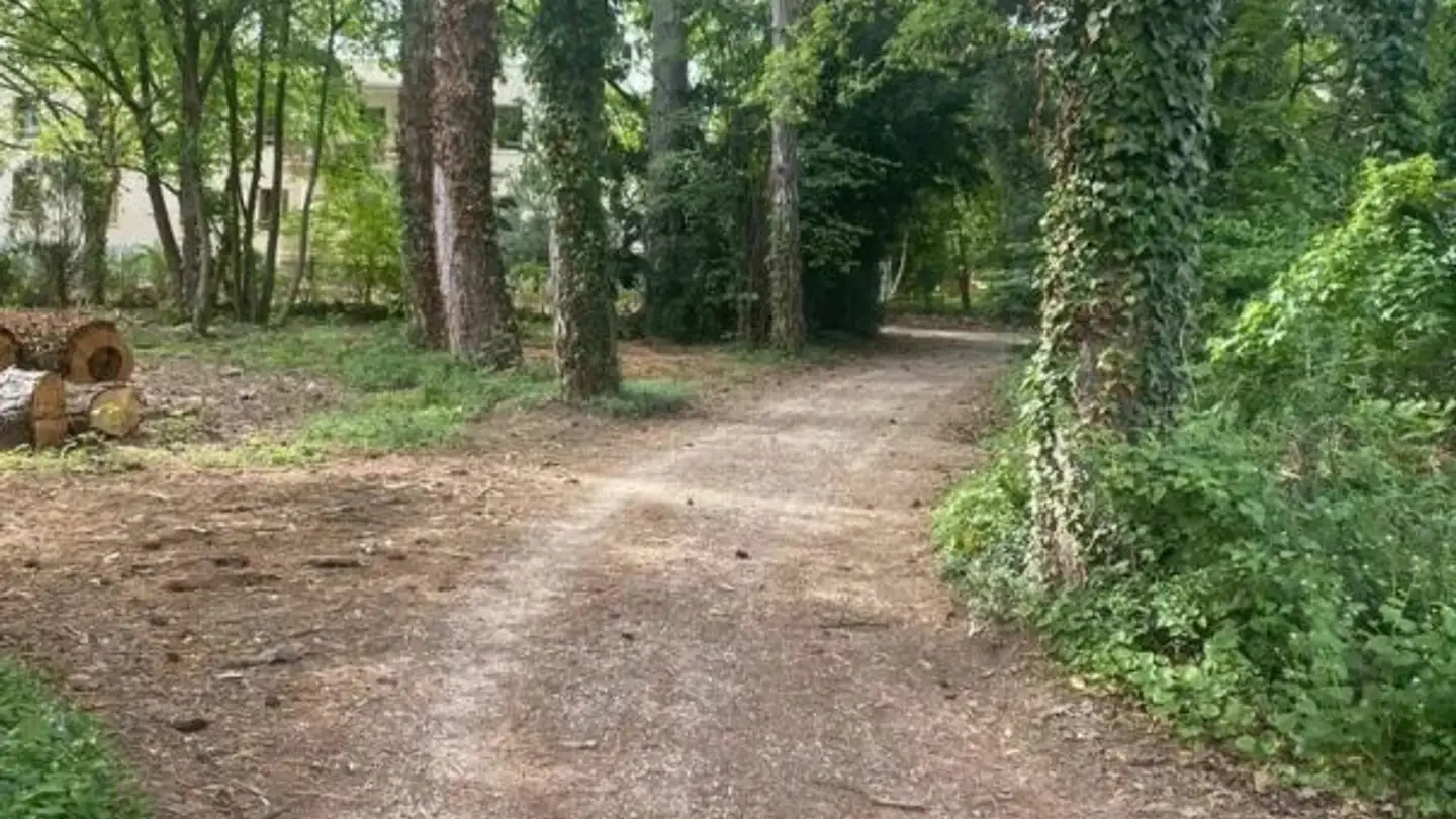 Constructible plot for sale - 1213 Petit-Lancy - Photo 2