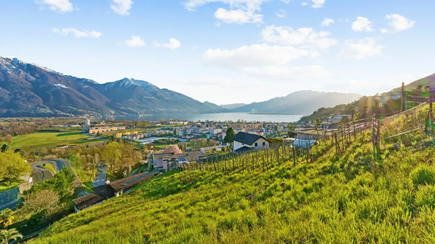 Constructible plot for sale - 6596 Gordola - Photo 2