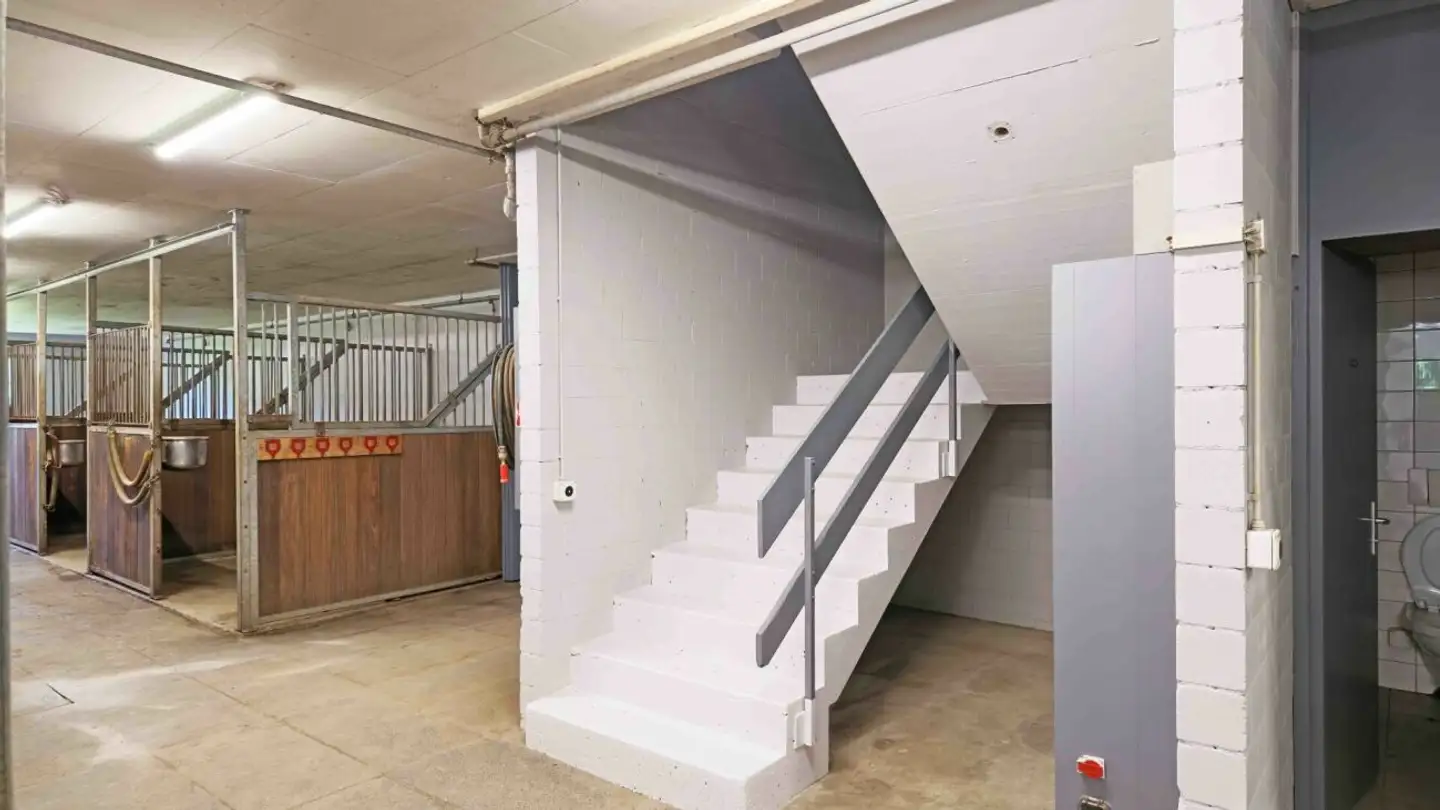 Maneggio in affitto - Wynigenstrasse 3, 3400 Burgdorf - Foto 3