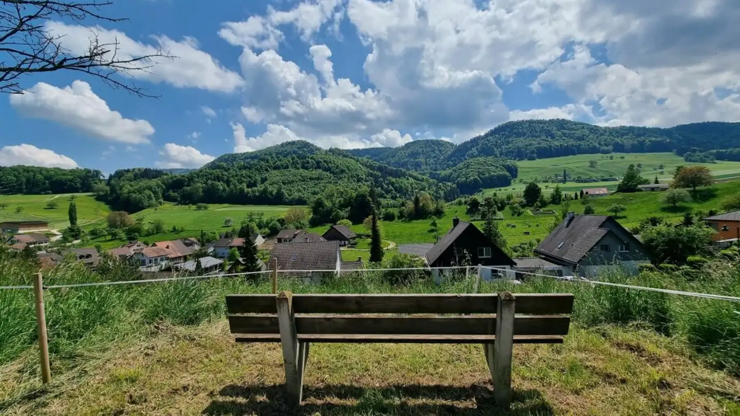 Constructible plot for sale - Fluhgasse, 4207 Bretzwil - Photo 2