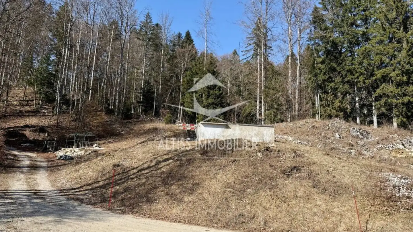 Appartement en terrasse à vendre - Chemin De La Sapinière 4, 1264 St-Cergue - Photo 2