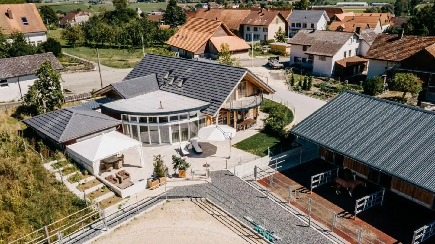 Horse box for sale - 4714 Aedermannsdorf - Photo 3