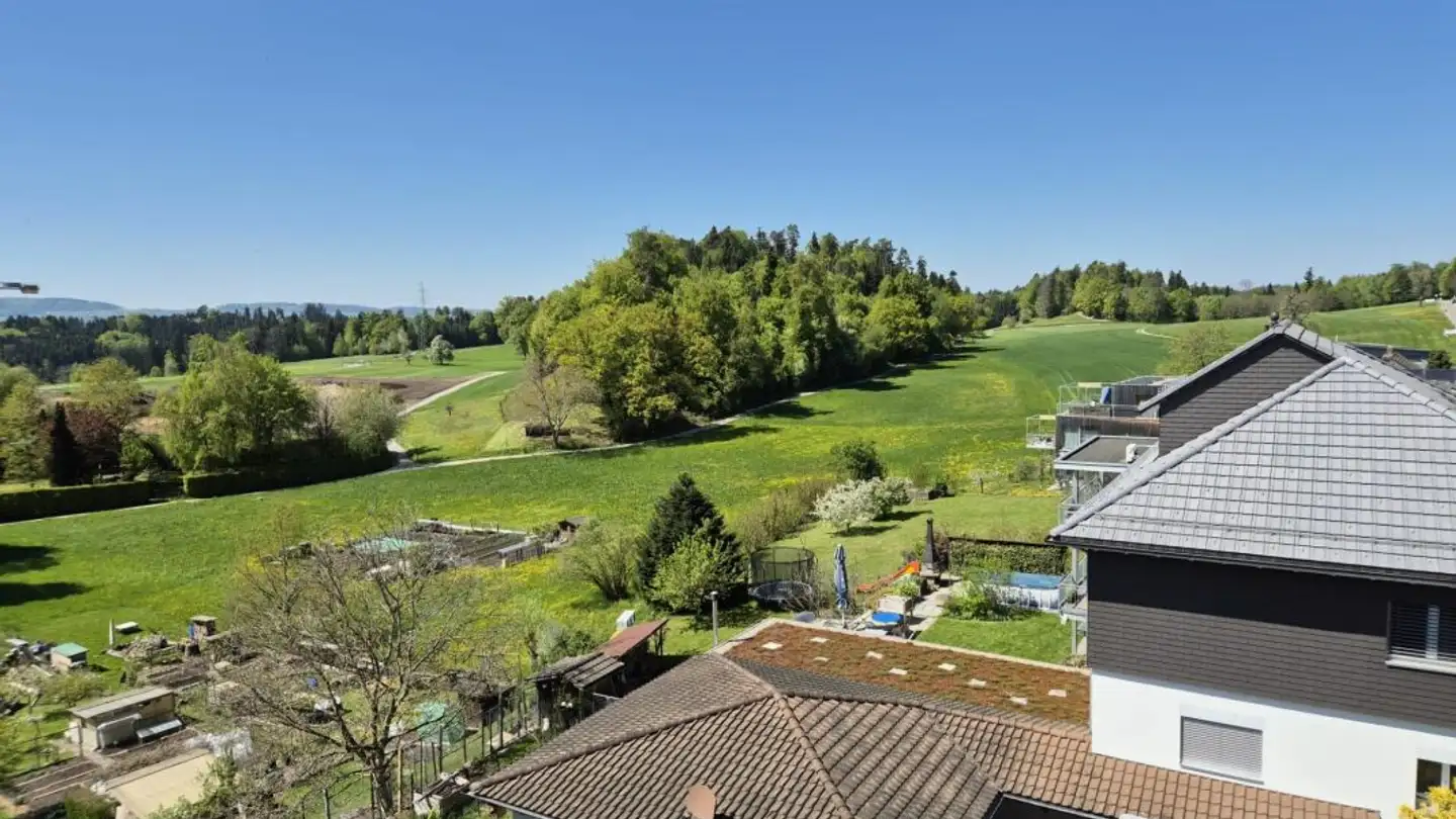 Attique à vendre - Langweidstrasse 3, 8624 Grüt (Gossau ZH) - Photo 4