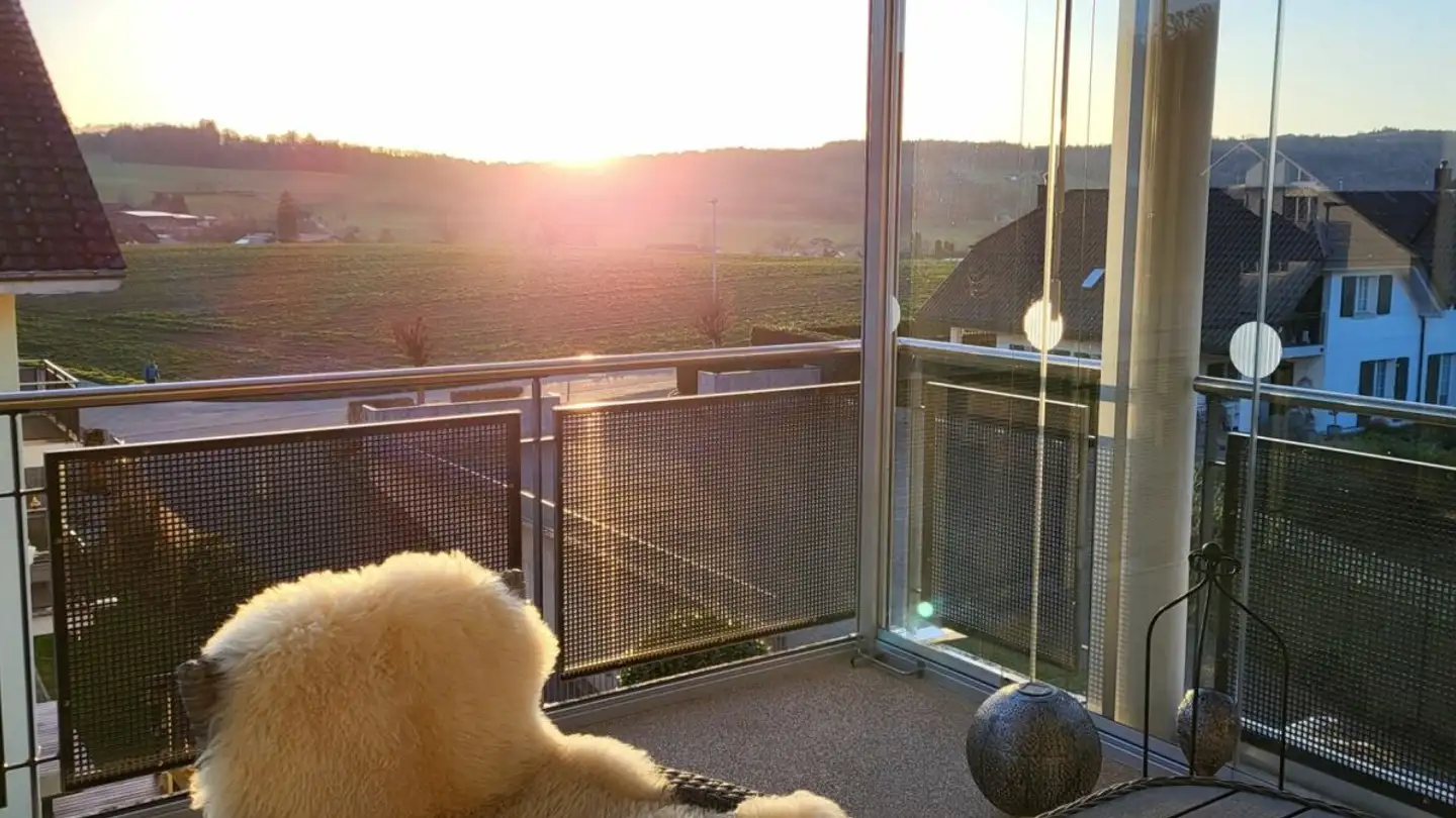 Attic flat for sale - Bollstrasse 4, 5619 Büttikon AG - Photo 2