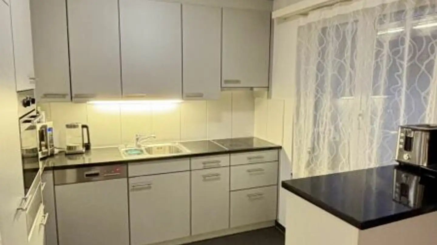 Furnished apartment for rent - General-Wille-Strasse, 8706 Meilen - Photo 4