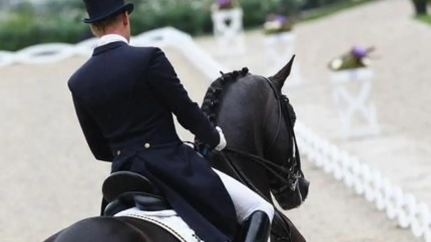 Riding hall for sale - 8266 Steckborn - Photo 2