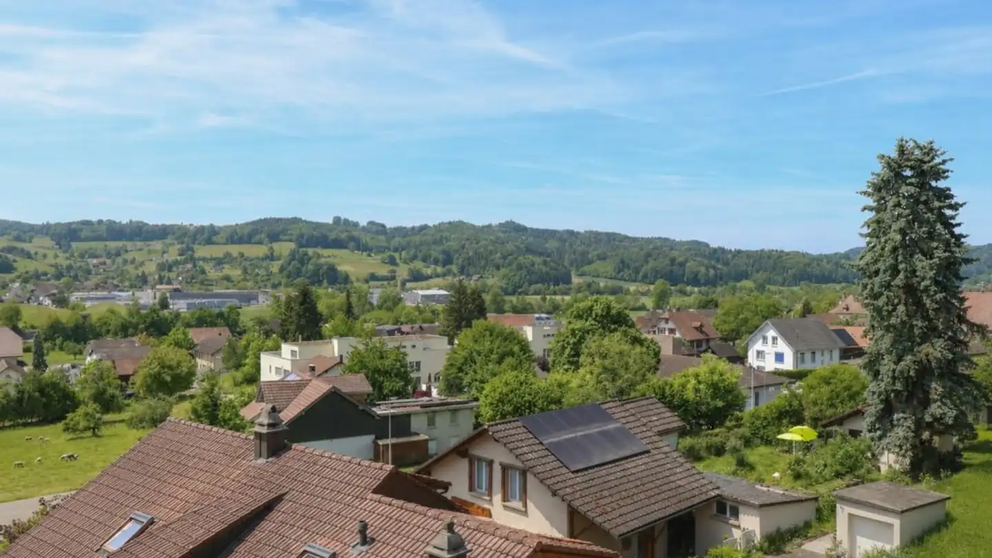 Appartement à vendre - Birrwilerstrasse 63, 5732 Zetzwil - Photo 4