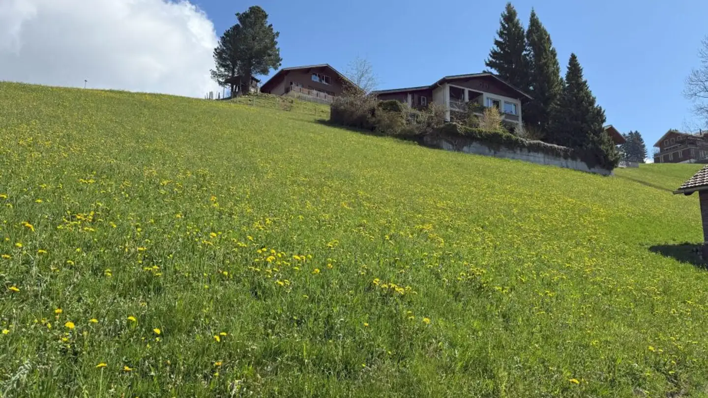 Maison individuelle à vendre - Waldeggstrasse 48, 3803 Beatenberg