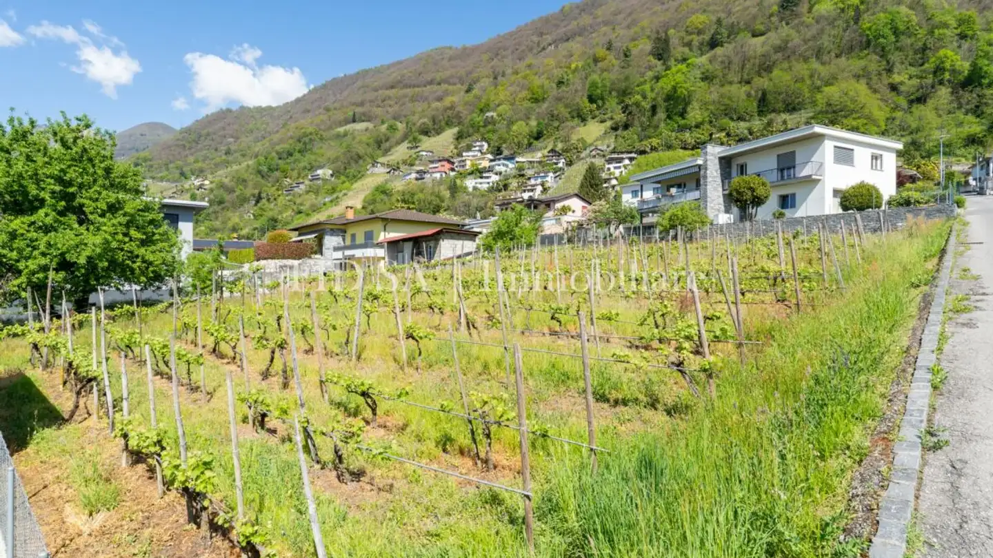 Single house for sale - Salita Al Collo, 6596 Gordola - Photo 3