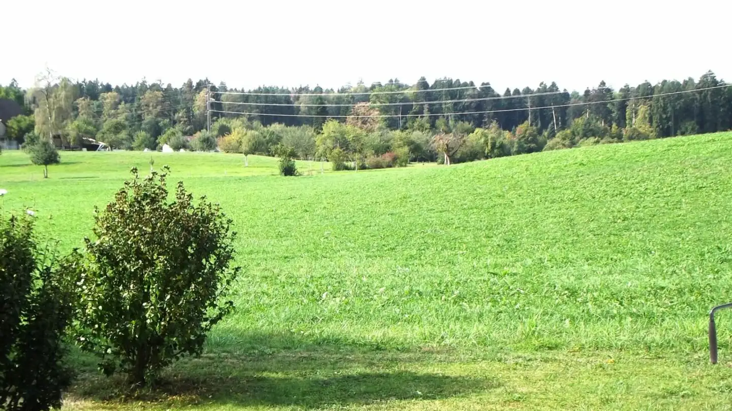Apartment for sale - Stiegenackerstrasse 46, 5634 Merenschwand - Photo 3