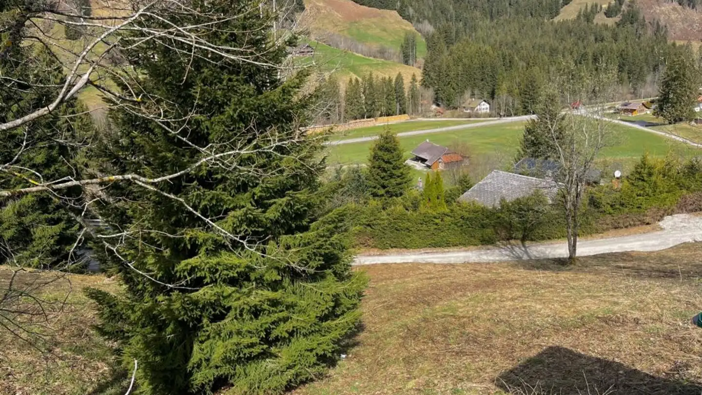 Chalet for sale - Mösli 52, 1716 Schwarzsee - Photo 4