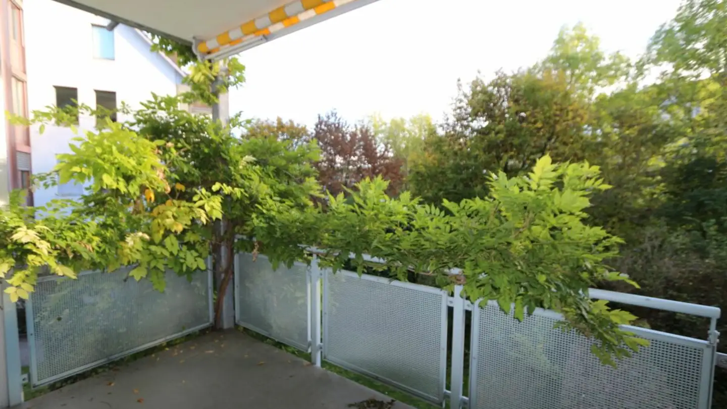 Apartment for rent - Geerenwiesstrasse 7, 8105 Watt - Photo 3