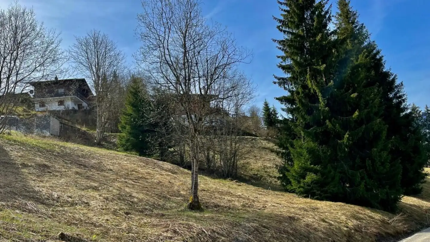 Terreno edificabile in vendita - Mösli, 1716 Schwarzsee - Foto 4
