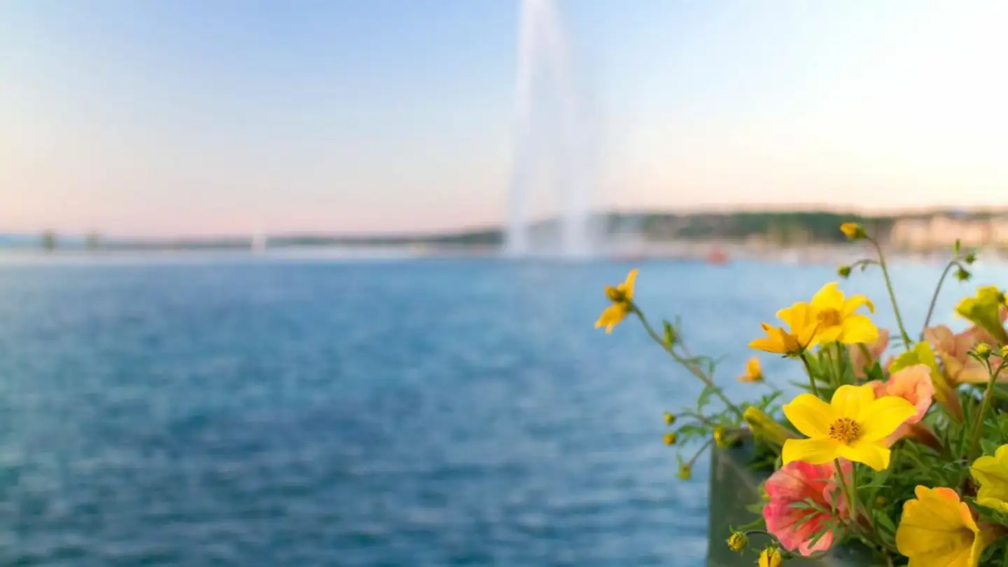 Wohnung kaufen - 1206 Genève