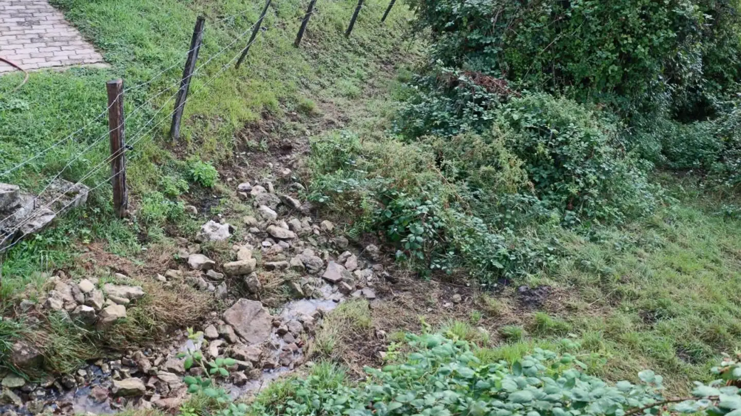 Single house for sale - Mormont 70, 2922 Courchavon - Photo 4