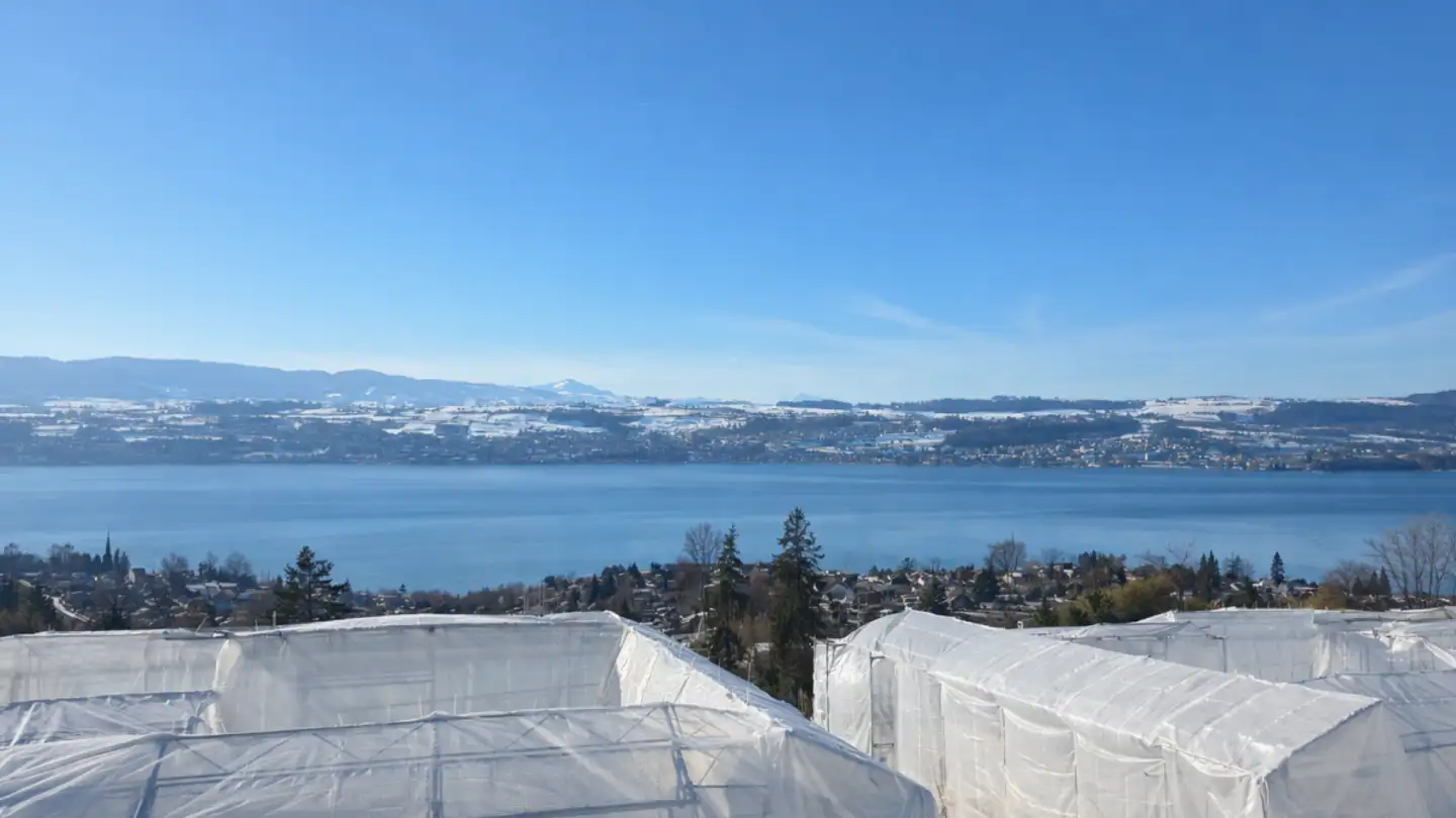 Appartement à vendre - Lohstrasse 10, 8708 Männedorf - Photo 2