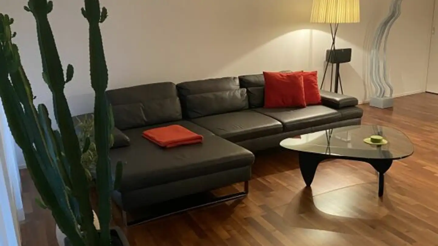 Appartement à louer - Obere Hönggerstrasse 6, 8103 Unterengstringen - Photo 4