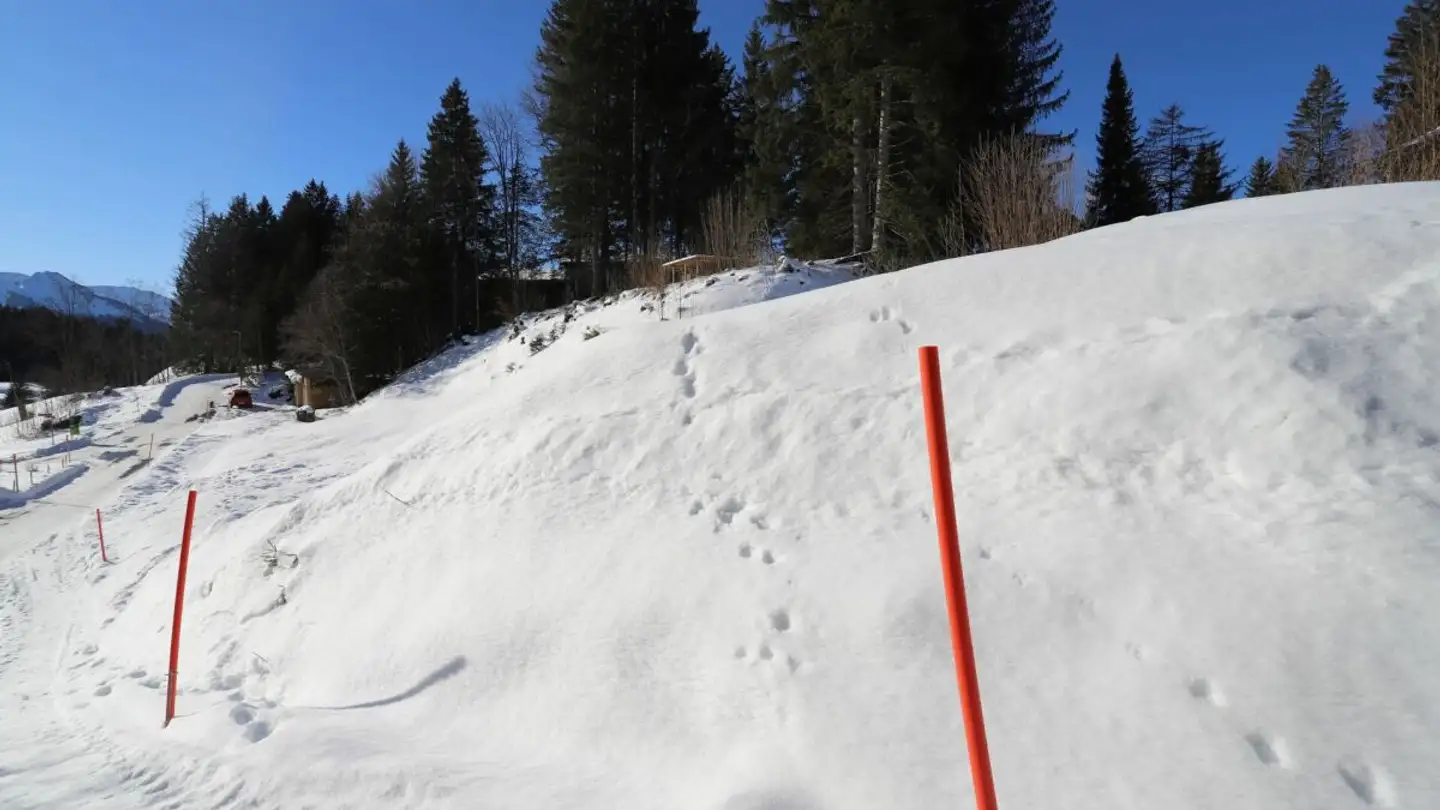 Bauland kaufen - Leistkammstrasse, 8873 Amden - Foto 2