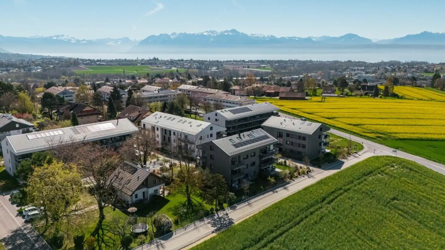 Wohnung kaufen - 1026 Echandens