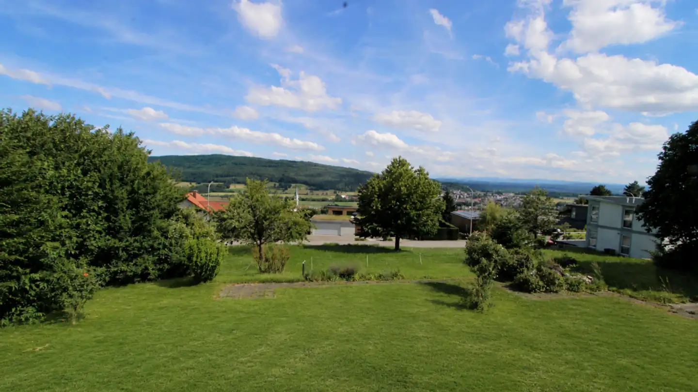 Maison individuelle à vendre - Vogelberg 21, 4614 Hägendorf - Photo 3