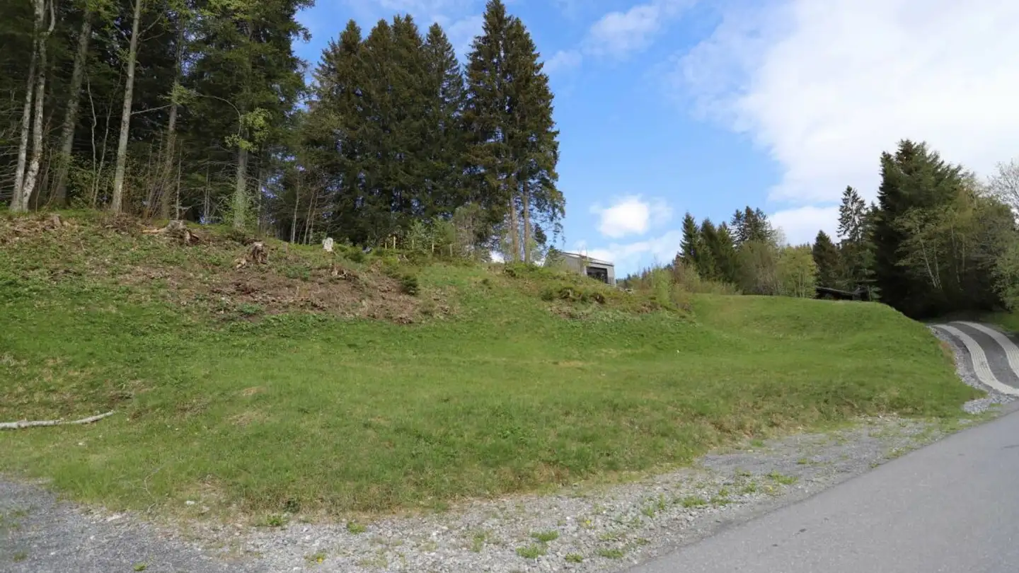 Bauland kaufen - Leistkammstrasse, 8873 Amden - Foto 2