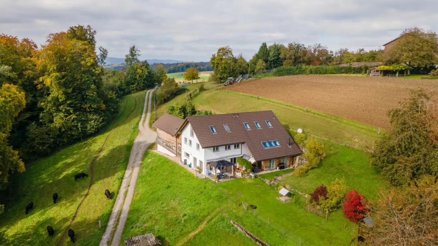 Maison individuelle à vendre - Eichbergstrasse 31, 5707 Seengen