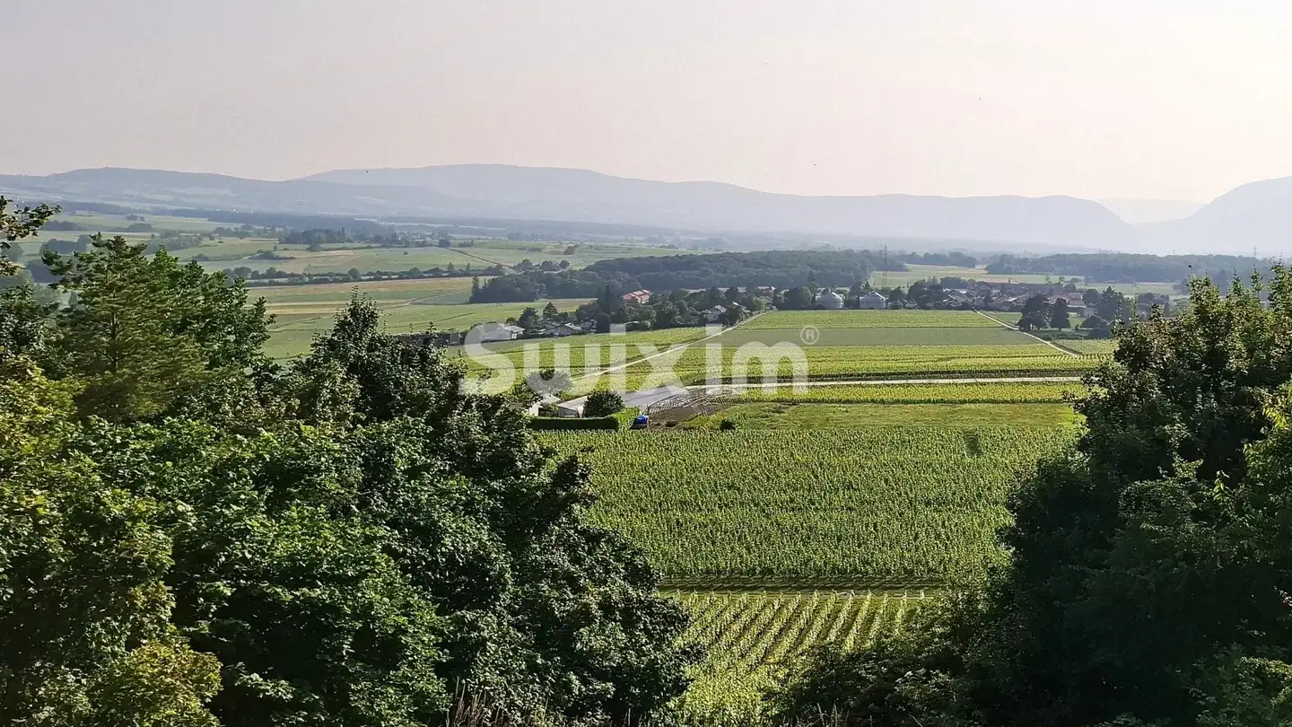 Single house for sale - 1200 Genève