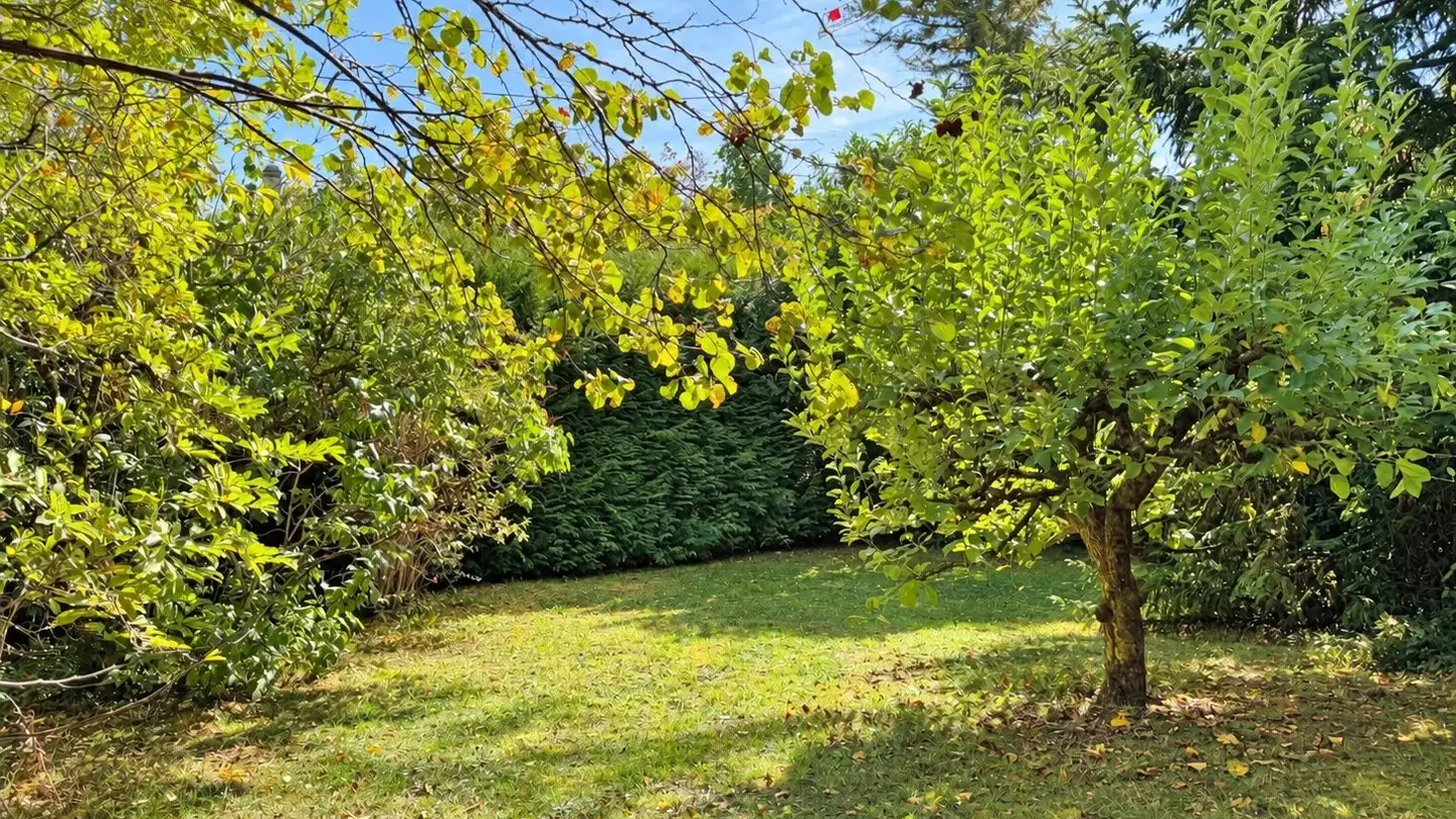 Single house for sale - 1226 Thônex
