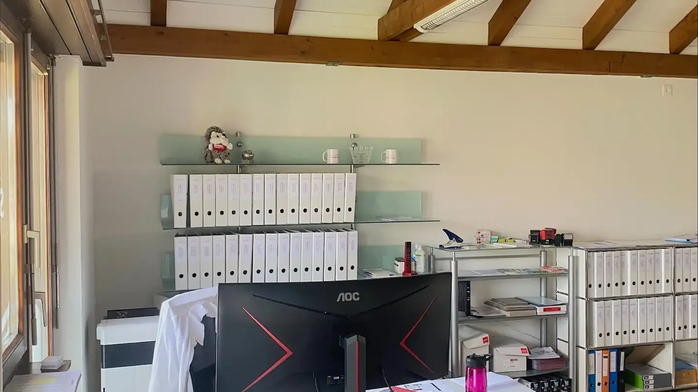 Apartment for rent - Am Schützenweiher 4c, 8400 Winterthur - Photo 2