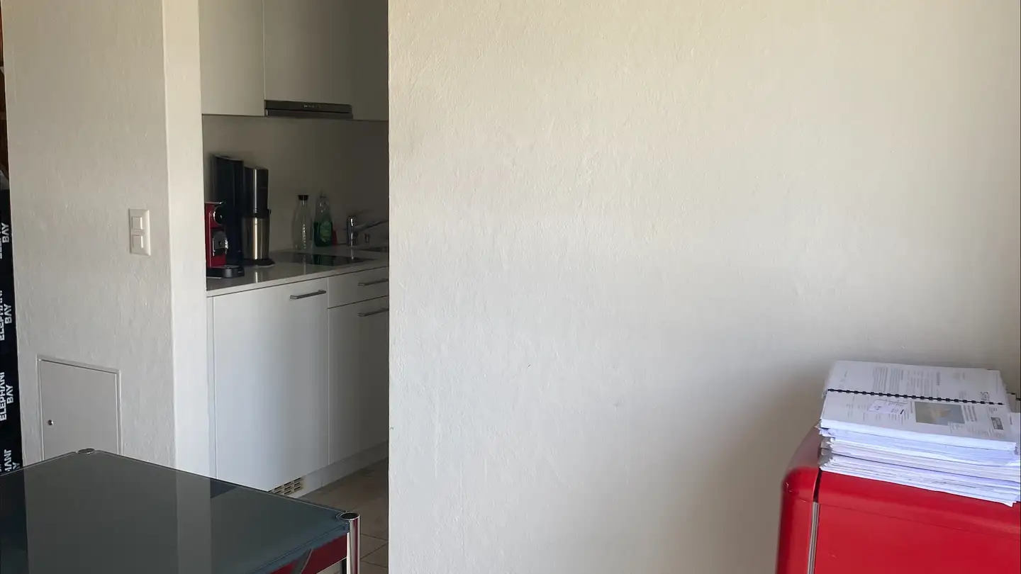 Appartamento in affitto - Am Schützenweiher 4c, 8400 Winterthur - Foto 4