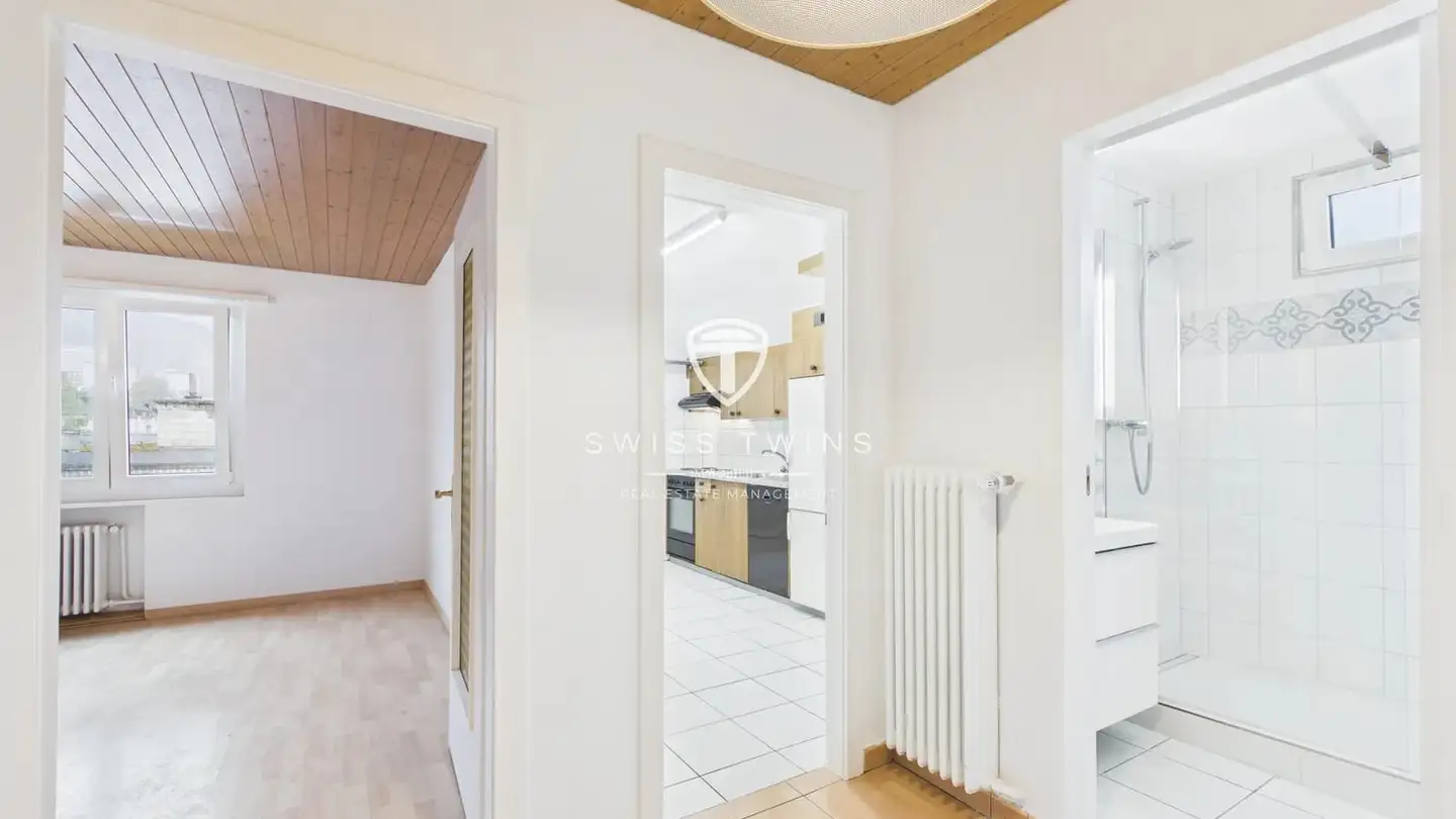 Attic flat for rent - 8055 Zürich