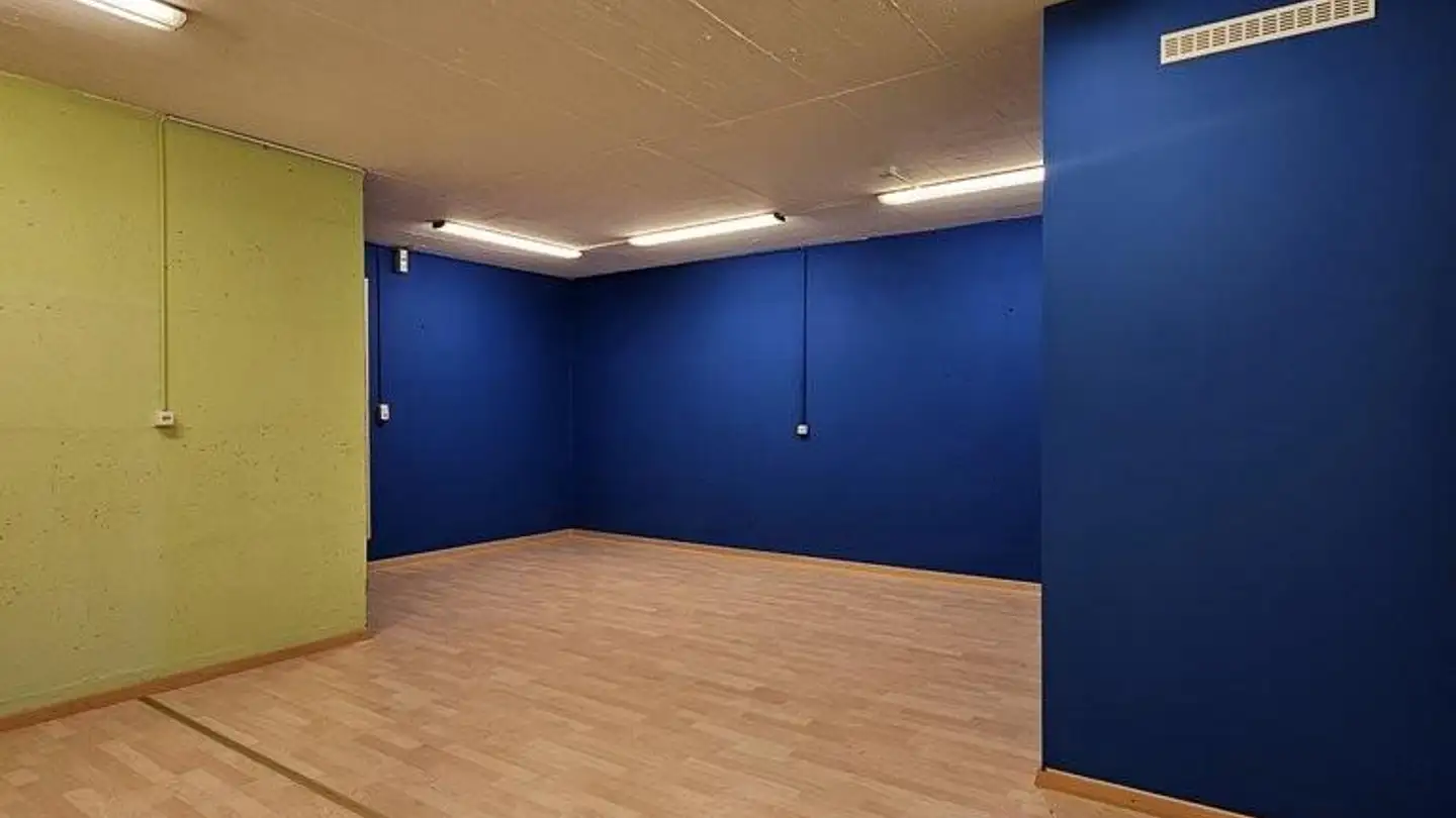Storage space for rent - Bodenstrasse 21, 8805 Richterswil - Photo 4