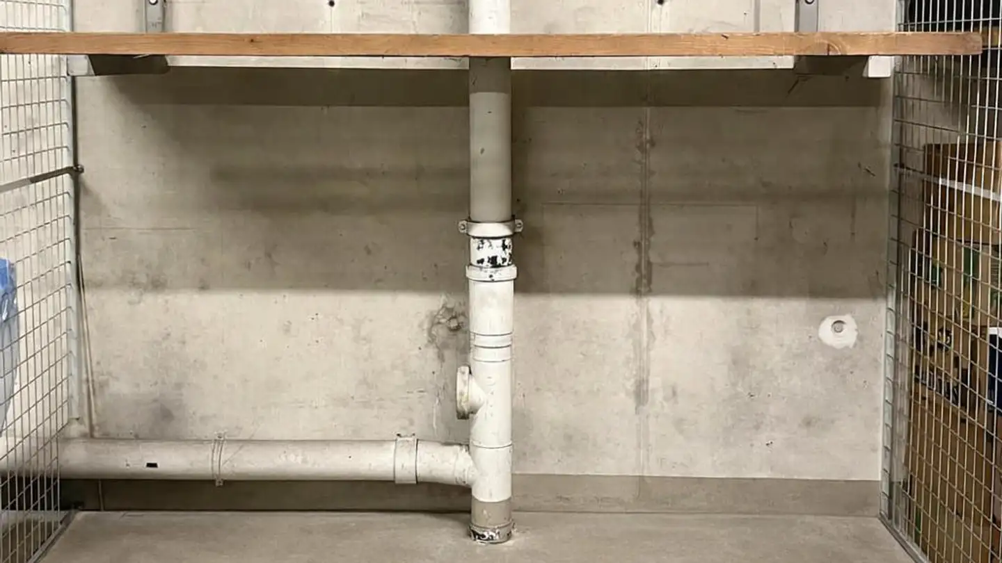 Cellar partition for rent - Rietweg 25, 8477 Oberstammheim