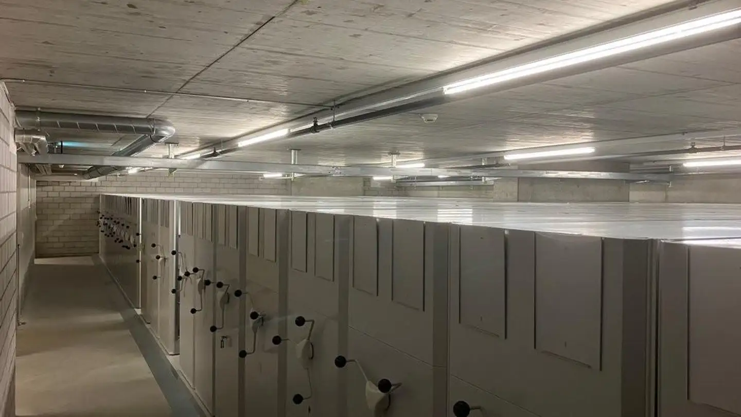 Storage space for rent - Schärenmoosstrasse 99, 8052 Zürich