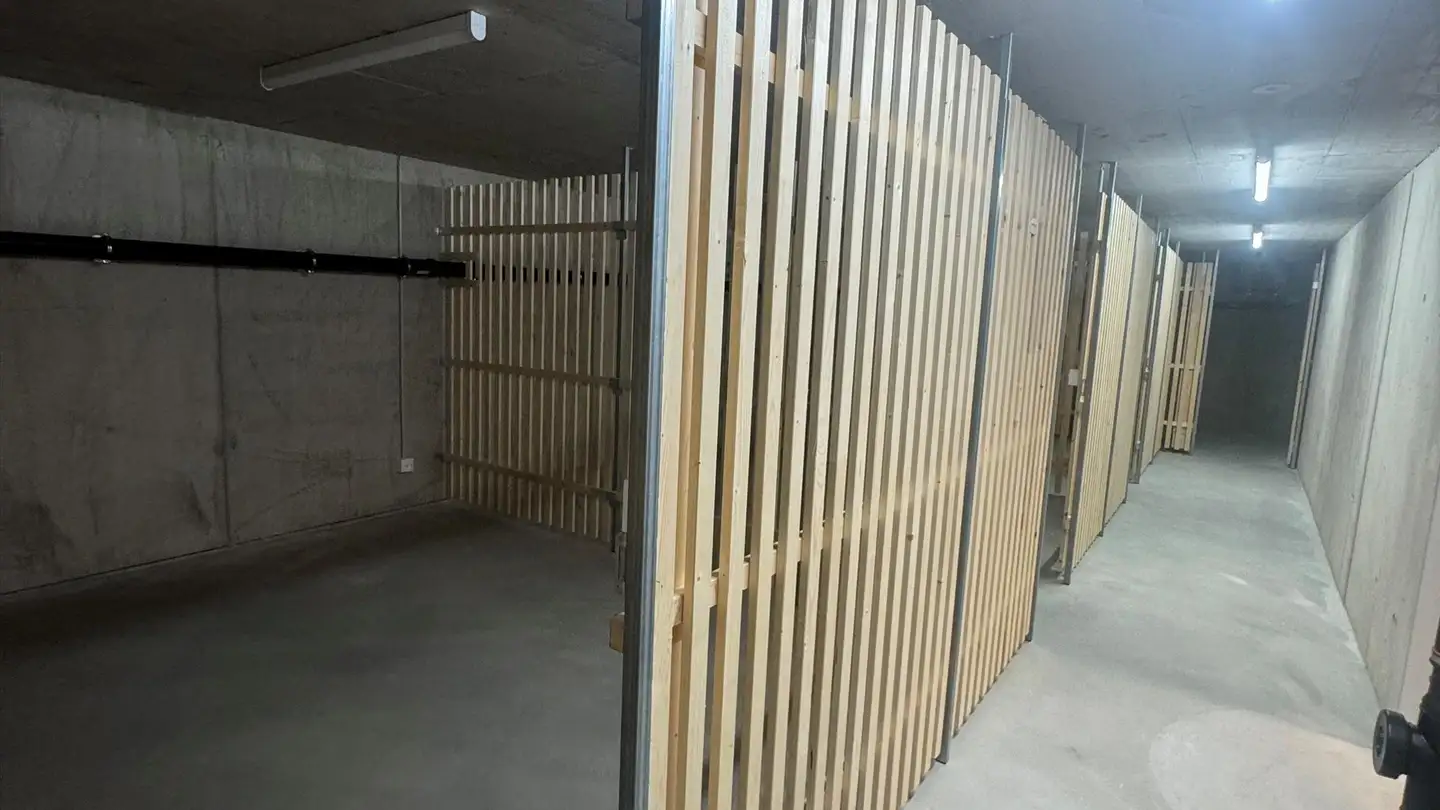 Atelier à louer - Langenhagweg 9, 4123 Allschwil - Photo 3