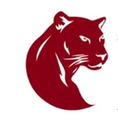Panthera Immobilien AG