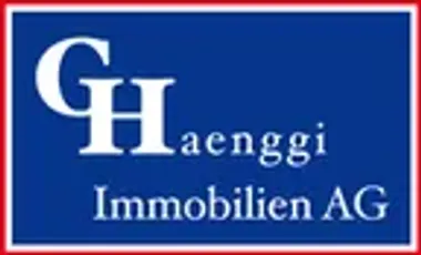 G.Haenggi Immobilien