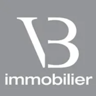 VB Immobilier