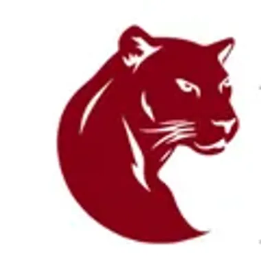 Panthera Immobilien AG