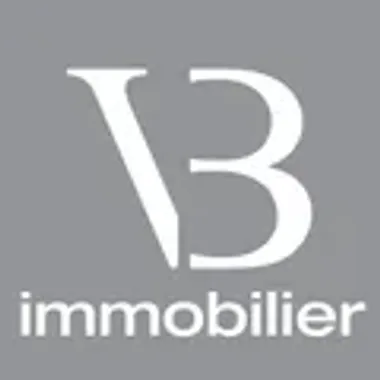 VB Immobilier
