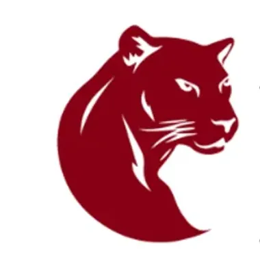 Panthera Immobilien AG