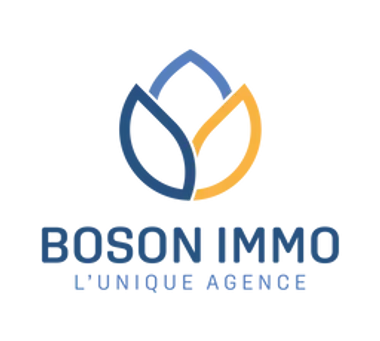 Boson Immo