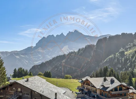Grand triplex avec accès direct aux pistes aux Crosets