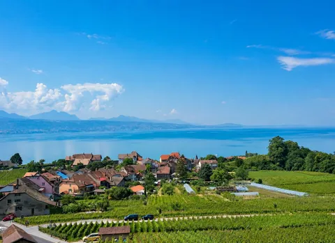 Villa d&rsquo;architecte Au milieu des vignes Vue lac Spectaculaire