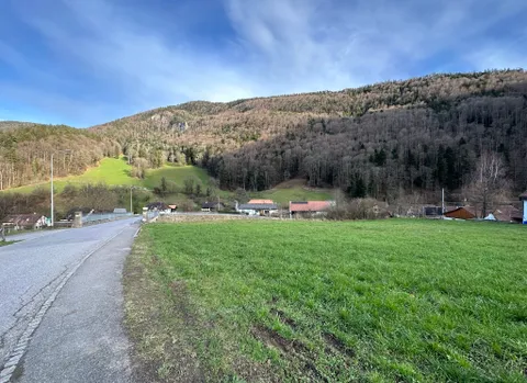 Terrain à bâtir