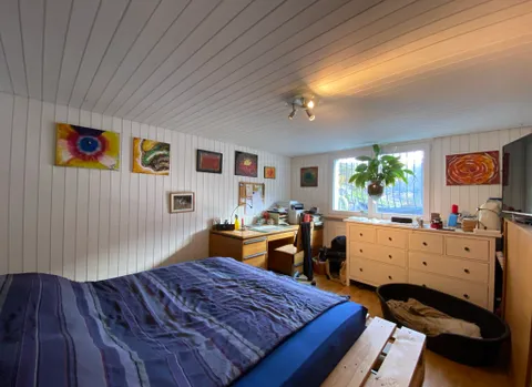 Maison individuelle style chalet